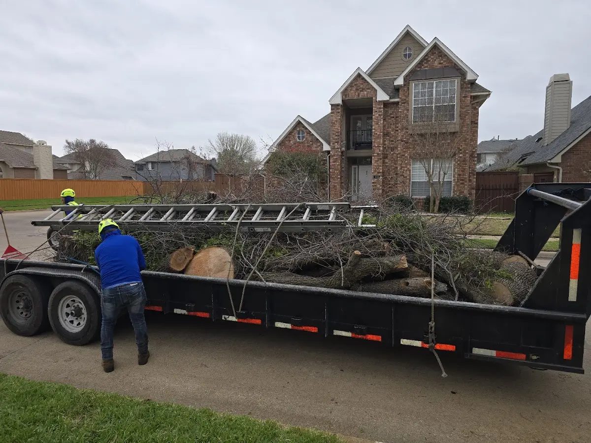 Expert Tree Pest Control with proper safety equipment in Marlton